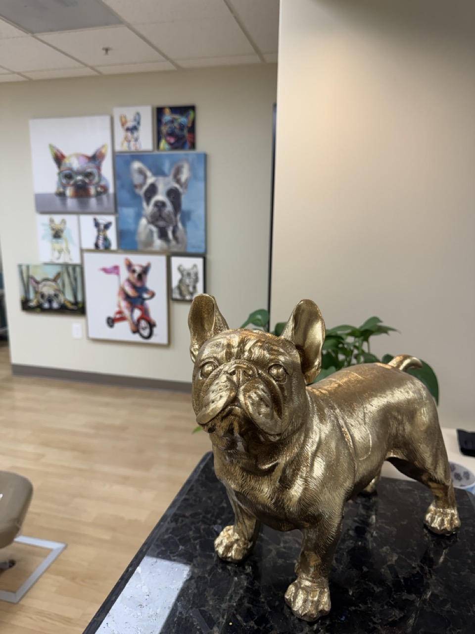 Pic of our office